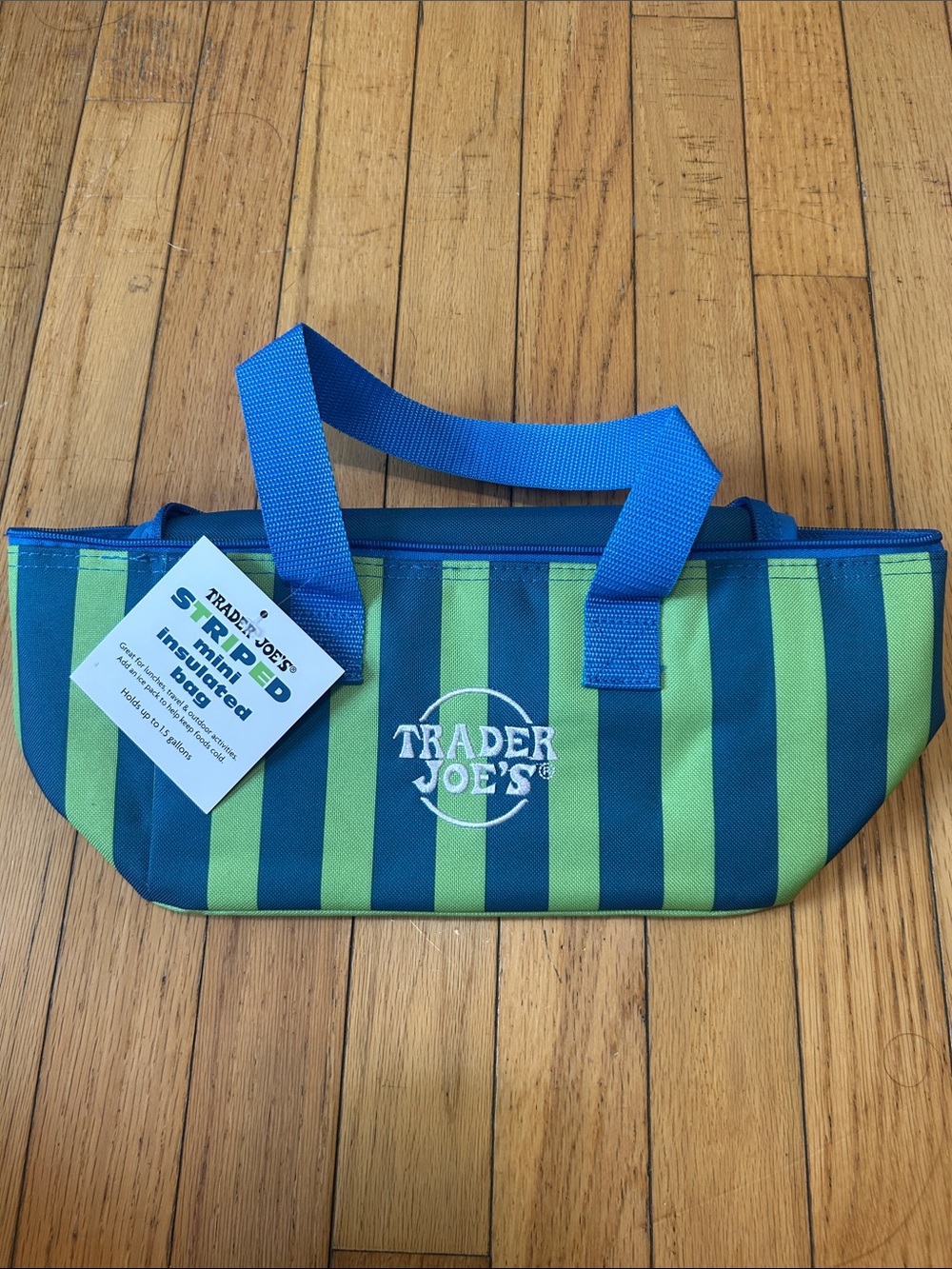 Trader Joe's Blue & Green Striped Tote Bag